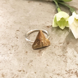 Shark Tooth Ring ~ Brass Shark Tooth ~  Brass Ring ~ Shark Tooth Jewelry