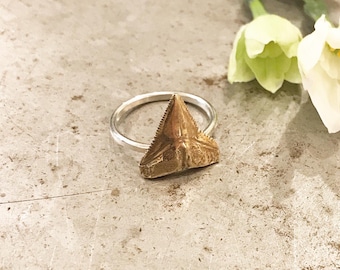 Shark Tooth Ring ~ Brass Shark Tooth ~  Brass Ring ~ Shark Tooth Jewelry