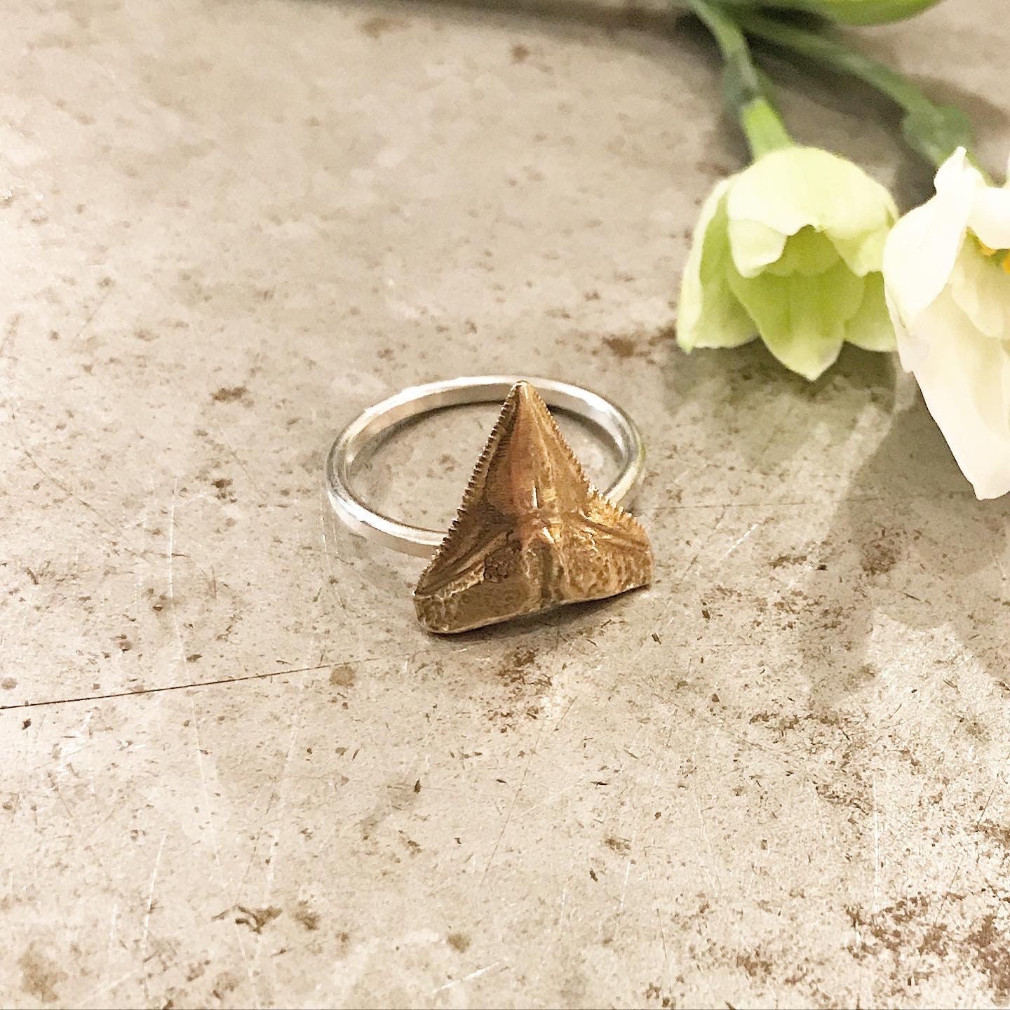 Megalodon tooth shop ring