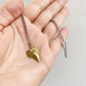Shark Tooth Necklace ~ Small Shark Tooth Pendant Necklace ~ Pendant Necklace ~ Charm Neckalce