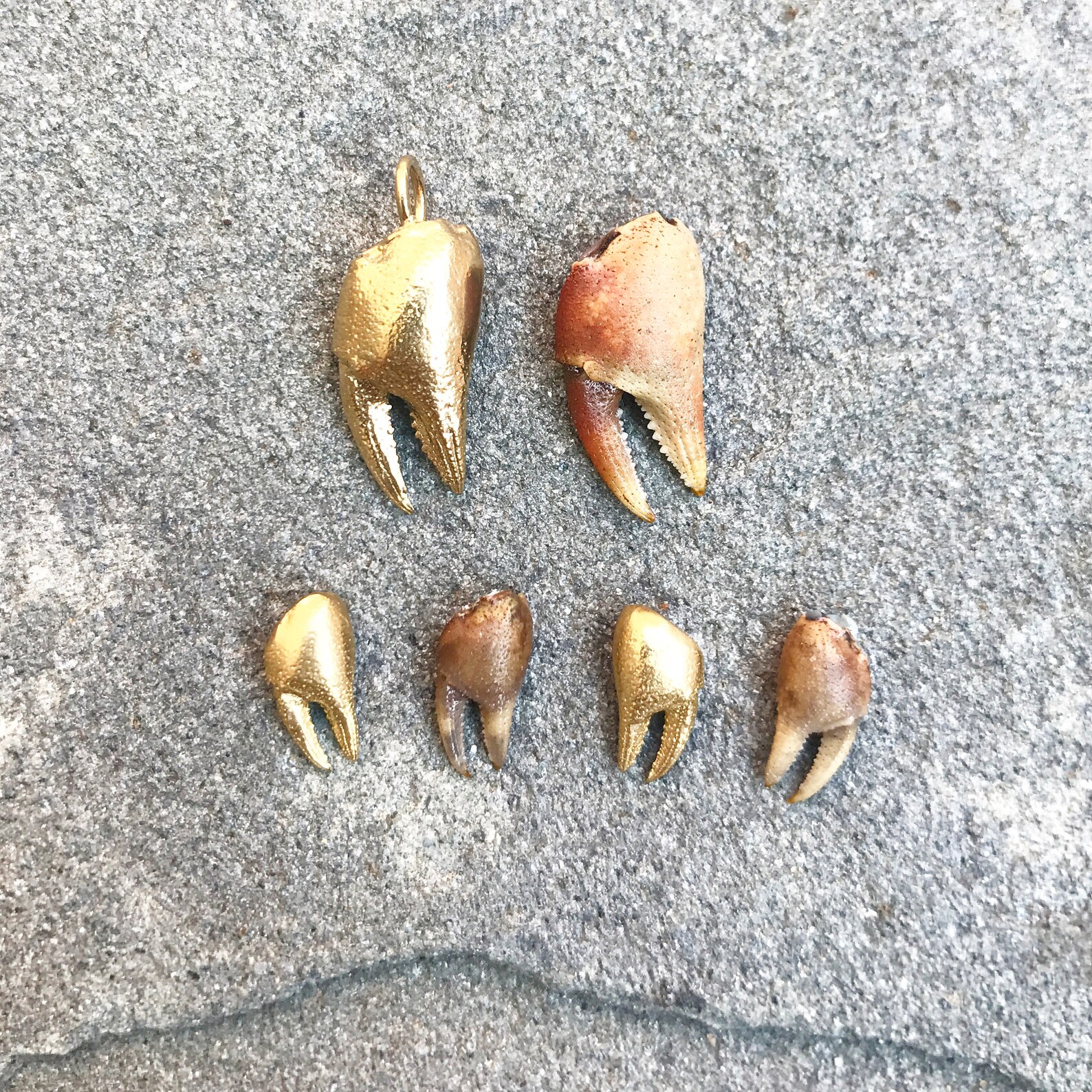 Crab Claw Earrings Stud Earrings Unisex Earrings Brass Etsy