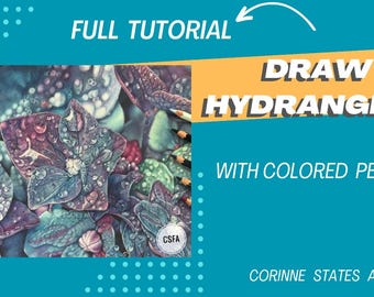 Desenhe Hortênsias - Tutorial COMPLETO de Lápis de Cor