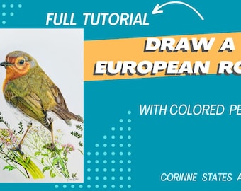 Tutorial completo de desenho de um tordo europeu com lápis de cor