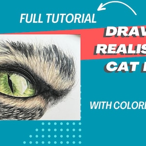 Draw A Realistic Cat Eye With Colored Pencils