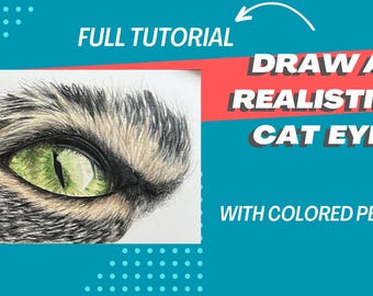 Desenhe um olho de gato realista com lápis de cor