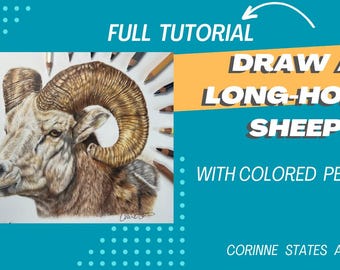 Tutorial completo de desenho de ovelha de chifre grande com lápis de cor