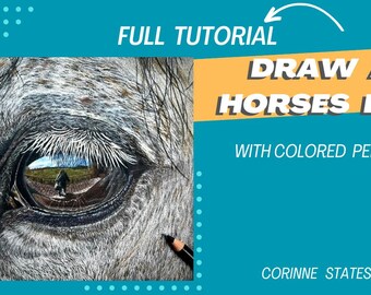 Colored Pencil- Horse's Eye Tutorial