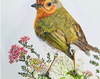 The European Robin - Uma obra de arte original de Corinne States Fine Art