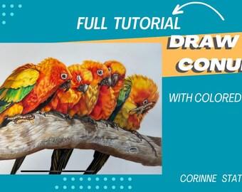 Tutorial completo de desenho de conures-sol com lápis de cor