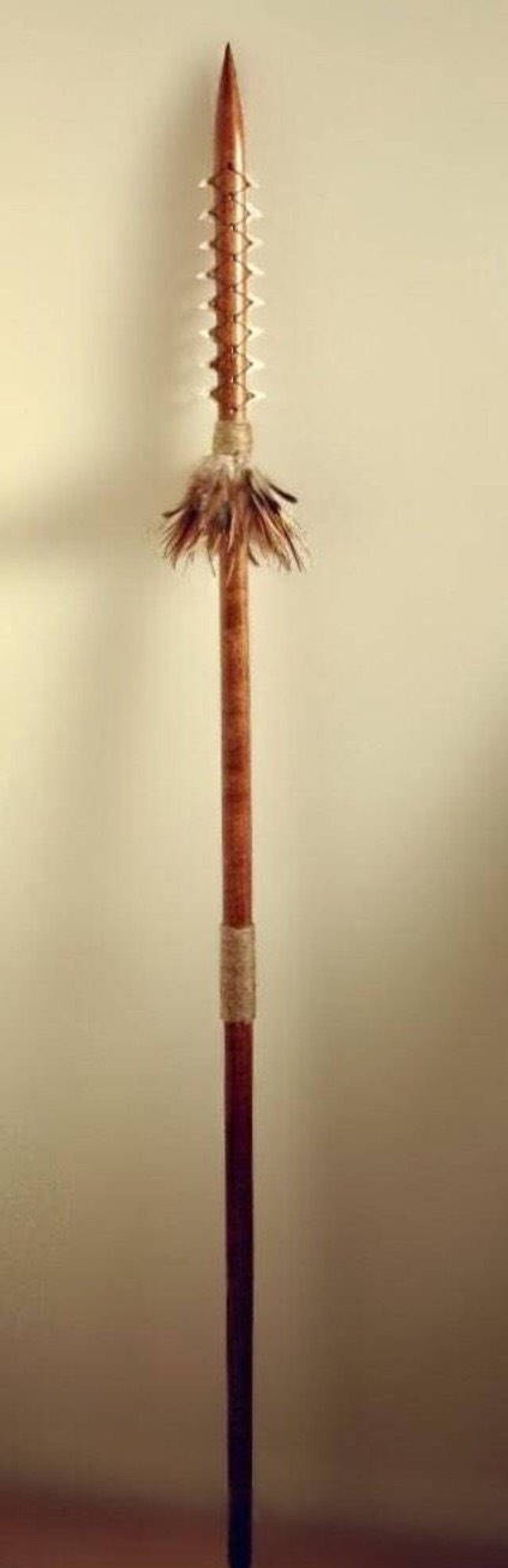 5ft Koa Wood Spear with Shark Teeth & Feathers Leiomano Etsy