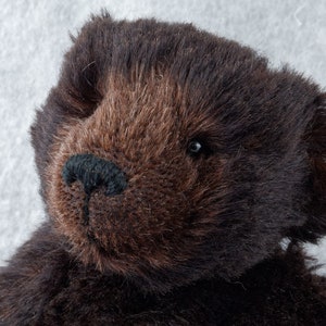 Peut inclure: Gros plan sur le visage d'un ours en peluche brun avec des yeux noirs et un nez noir. L'ours a une texture douce et moelleuse.