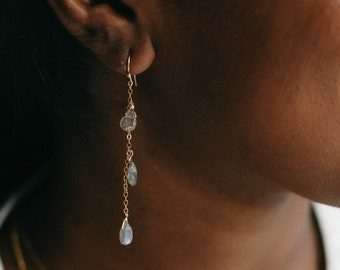 Gold-filled Dangle Earrings