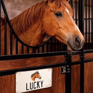 Op maat gemaakt bord paardenstal met naam – metaal 15×30 cm