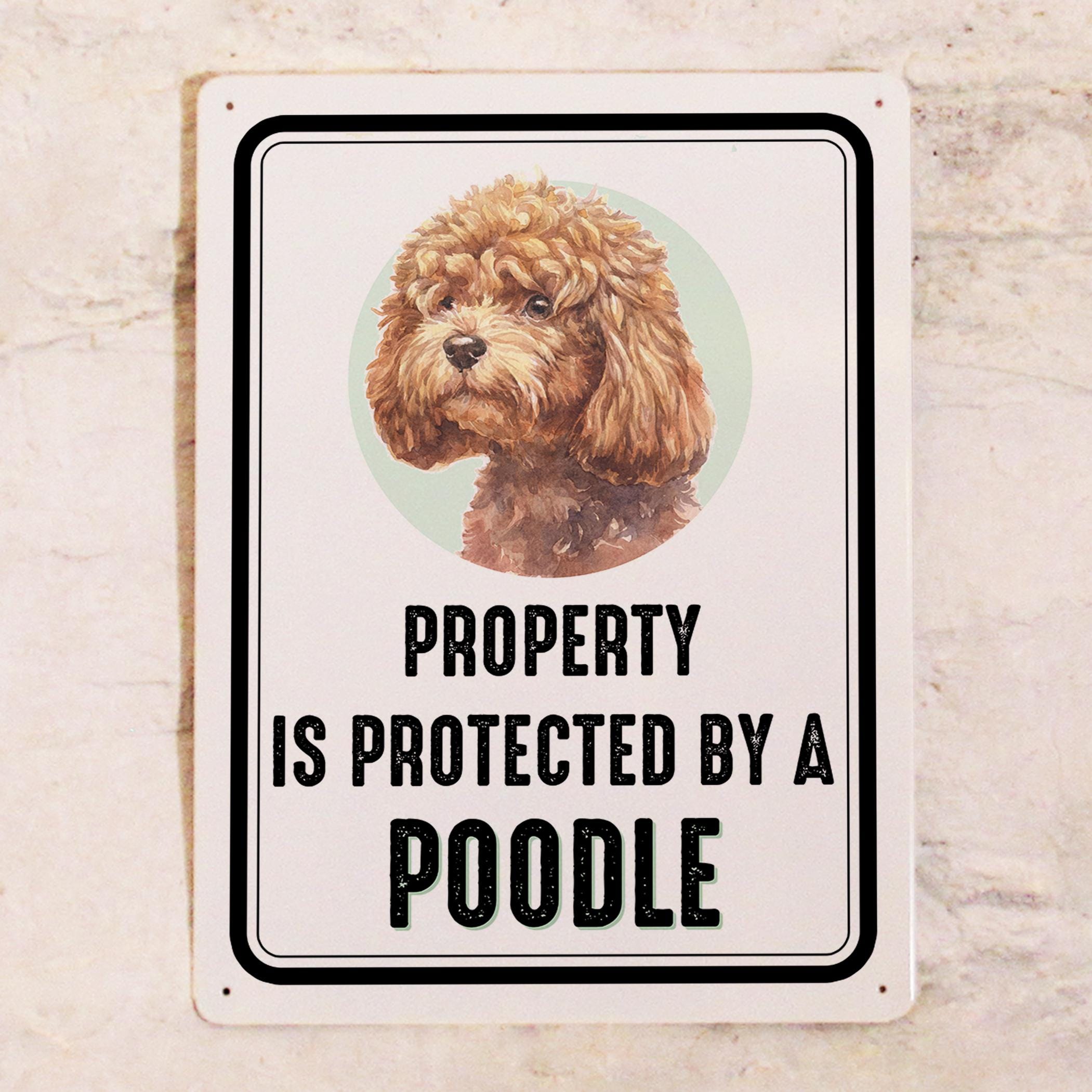 Buy Poodle Plates Online In India India