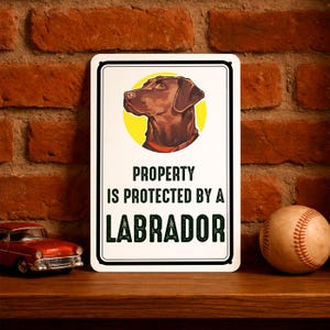 May include: A rectangular sign with a black border and the text "PROPERTY IS PROTECTED BY A LABRADOR". The sign features a brown dog illustration on a yellow circle. A red toy car and a baseball are on a wooden shelf.