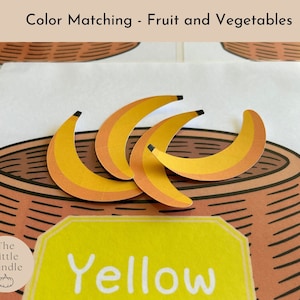 Color Sorting Activity, Montessori Color Montessori Card Printable ...