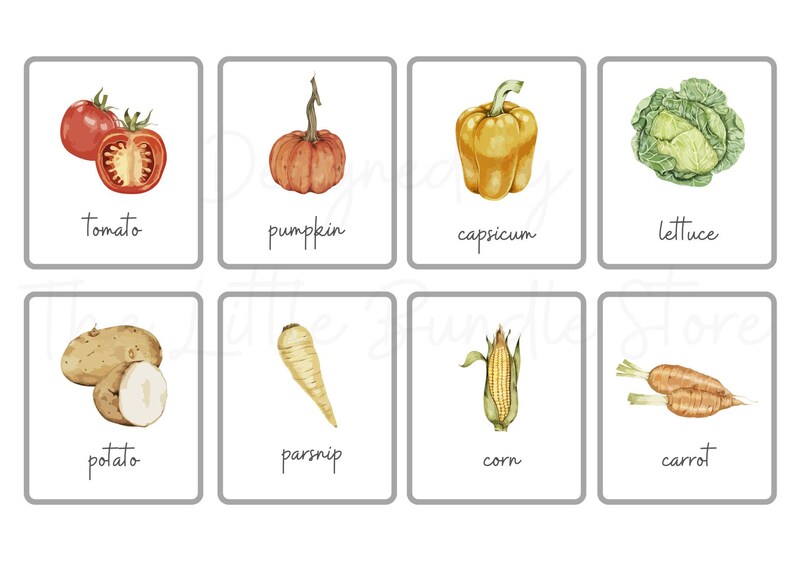 Vegetable Flashcards Print Learning Preschool Veggies Kids Flashcards ...