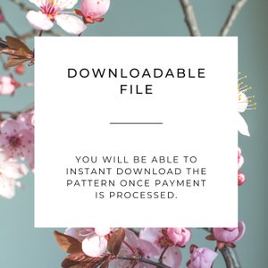 May include: White text on a white background with a pink floral border. The text reads "DOWNLOADABLE FILE" and "YOU WILL BE ABLE TO INSTANT DOWNLOAD THE PATTERN ONCE PAYMENT IS PROCESSED."