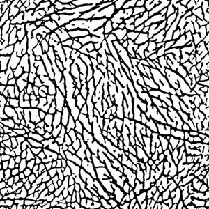 May include: Black and white abstract pattern with a cracked or textured surface. The pattern resembles the skin of an elephant or reptile.