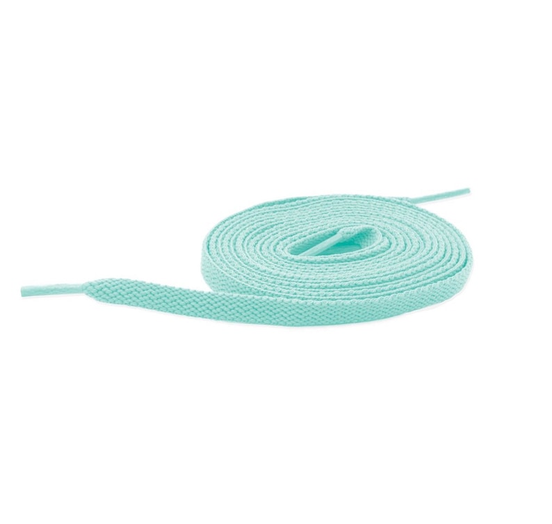 May include: A light blue shoelace coiled into a circle.