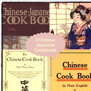 3 Old CHINESE JAPANESE Cookbooks Asian Vintage Recipes Cuisine Food Vegetables Chow Mein Chop Fried Pigs&#39; Ribs  Noodle Soup Instant DOWNLOAD