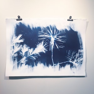 May include: A cyanotype print featuring a white silhouette of a pine branch against a dark blue background.