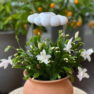For someone who helps you grow - Original Dripping Rain Cloud by THE CLOUD MAKERS