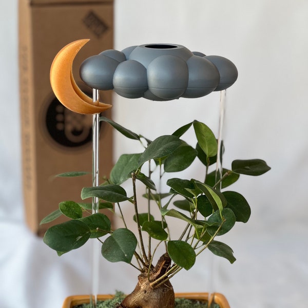 Stormy Dripping Rain Cloud for plants with Moon Charm