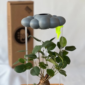 Stormy Dripping Rain Cloud for plants with Neon Lightning Bolt Charm