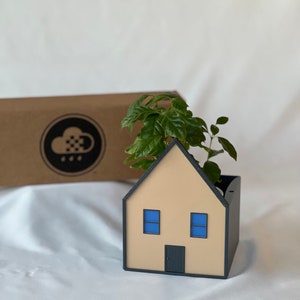 Cozy House Planter for THE CLOUD MAKERS Dripping Rain Cloud