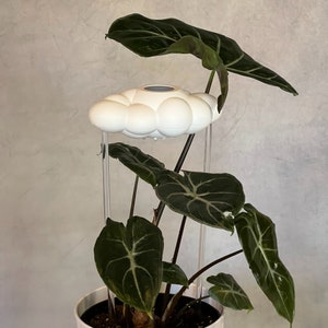 Original dripping rain cloud by THE CLOUD MAKERS