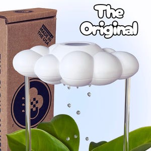 Annaffiatoio a forma di nuvola di pioggia: un accessorio unico per innaffiare le piante d'appartamento