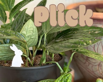 Bunny Plick 3D gedruckte Pflanzendekoration