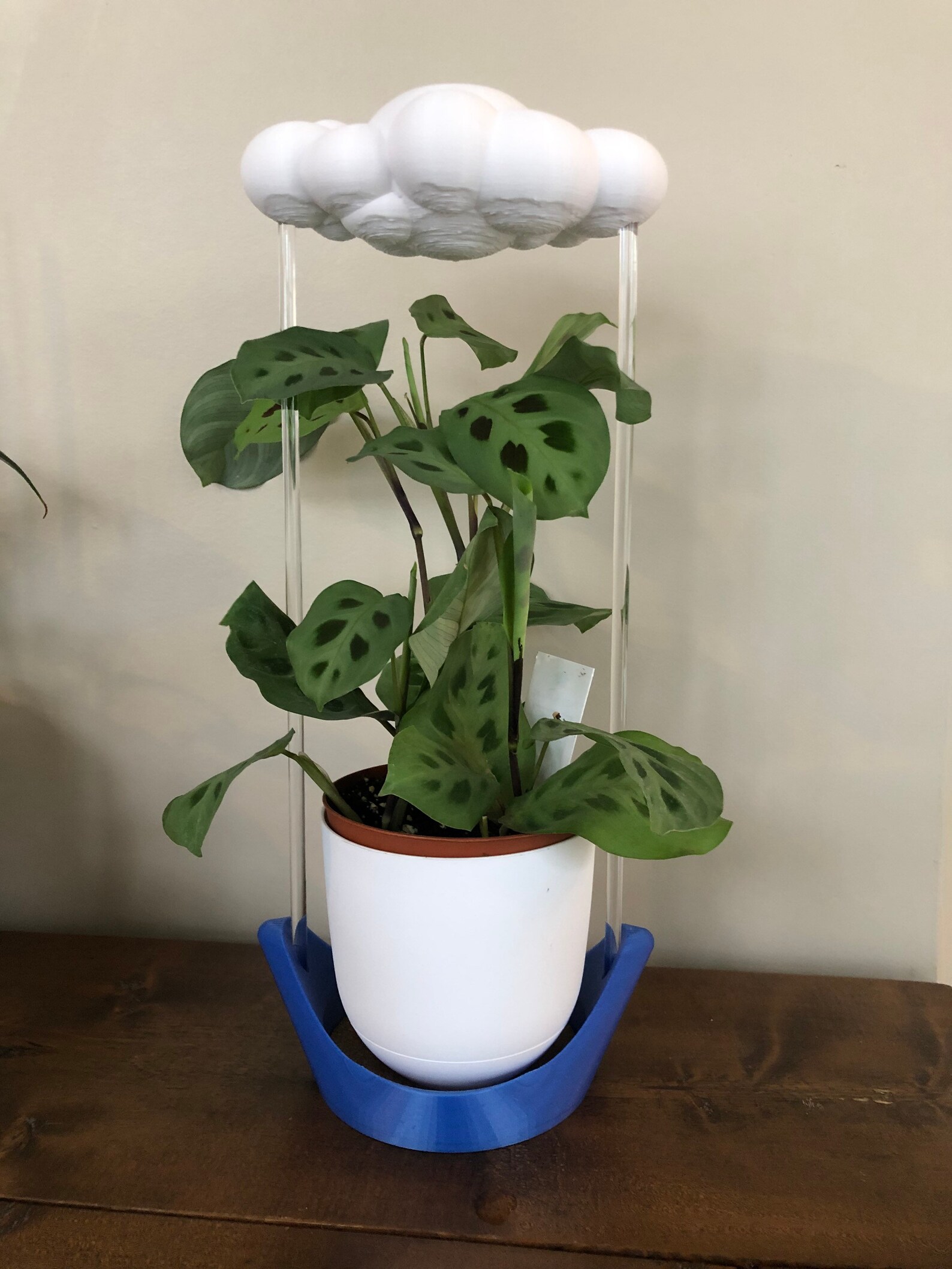 Blue Stand for THE CLOUD MAKERS Brand Rain Cloud Etsy