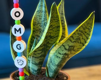 OMG Plant Kandi - Friendship Bracelet Inspired Plant Decor