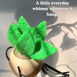 May include: A bright green felt succulent plant housed in a round, light-colored wooden hanging planter with a dark cord. The text "A little everyday whimsy wherever it hangs" is printed in white above the plant.