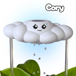 May include: A white cloud-shaped decorative object with a smiling face and the name "Cory" above it. The cloud has water droplets falling from it. Green leaves are visible below the cloud, with clear support rods.