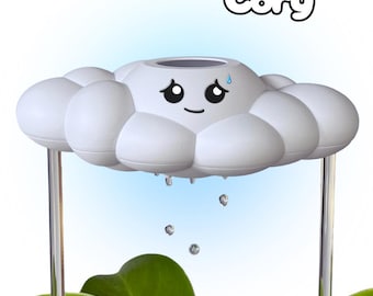 Cory The Cloud: Überdenkender Pflanzenfreund