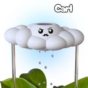Puede incluir: Una maceta blanca con forma de nube con una cara de dibujos animados y el nombre "Carl" encima. La maceta tiene un bigote y está diseñada para parecer que está lloviendo. Se ven hojas verdes debajo.