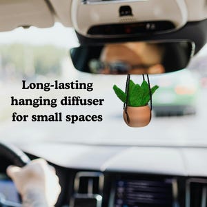 May include: A hanging car diffuser featuring a small terracotta-colored pot with a green felt succulent plant, suspended by black cords from a rearview mirror. The text "Long-lasting hanging diffuser for small spaces" is printed on the left side.