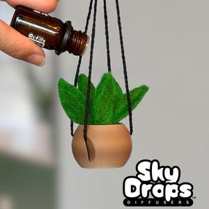 May include: A small, round, tan-colored planter containing green, textured, leaf-like foliage, suspended by three black braided cords. A brown glass bottle is positioned above the planter. The text Sky Drops Diffusers is visible.