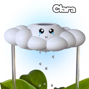 May include: A white cloud-shaped decorative item with a smiling face and teardrops, supported by clear rods. The word "Clara" is written above the cloud. Green leaves are visible below, with water droplets falling from the cloud.