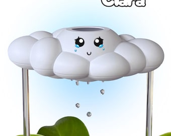 Clara The Cloud: Sentimentale Regenwolke Pflanzenfreunde