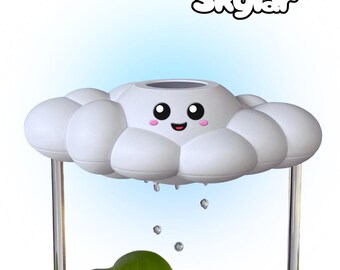 Skylar the Cloud Plant - Anfängerfreundlicher Pflanzenfreund