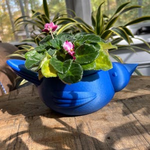 Maceta para pájaros con autorriego, PLA azul