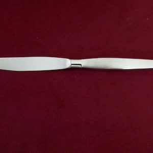 Peut inclure: Un couteau à beurre en acier inoxydable avec une lame arrondie et un manche lisse et poli. Le couteau est conçu pour étaler le beurre ou d'autres pâtes à tartiner. Le couteau est présenté sur un fond rouge foncé.