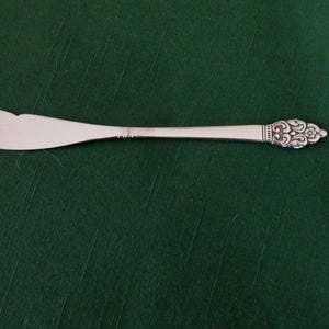 Può includere: Un coltello da burro argentato con un manico decorativo. La lama ha una forma arrotondata e leggermente curva. Il manico presenta un ornato motivo floreale all'estremità. Il coltello è posto su uno sfondo verde scuro.