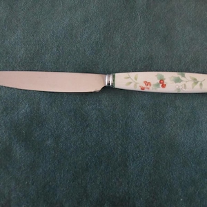 May include: A stainless steel butter knife with a cream-colored handle. The handle is decorated with a floral pattern of red berries and green leaves. The knife has a serrated edge.