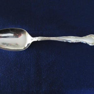 Può includere: Un cucchiaio d'argento con una superficie riflettente, appoggiato su uno sfondo blu scuro. Il cucchiaio presenta un manico ornato con dettagli floreali e un'estremità decorativa. Questo elegante utensile è adatto per servire.