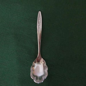Superior/International Flatware の Sm ステンレス製ミッドセンチュリーモダン ソースレードル、RADIANT ROSE パターン、テクスチャードハンドル、ローズ付き、中古品。